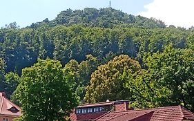 Apartment Biesnitz